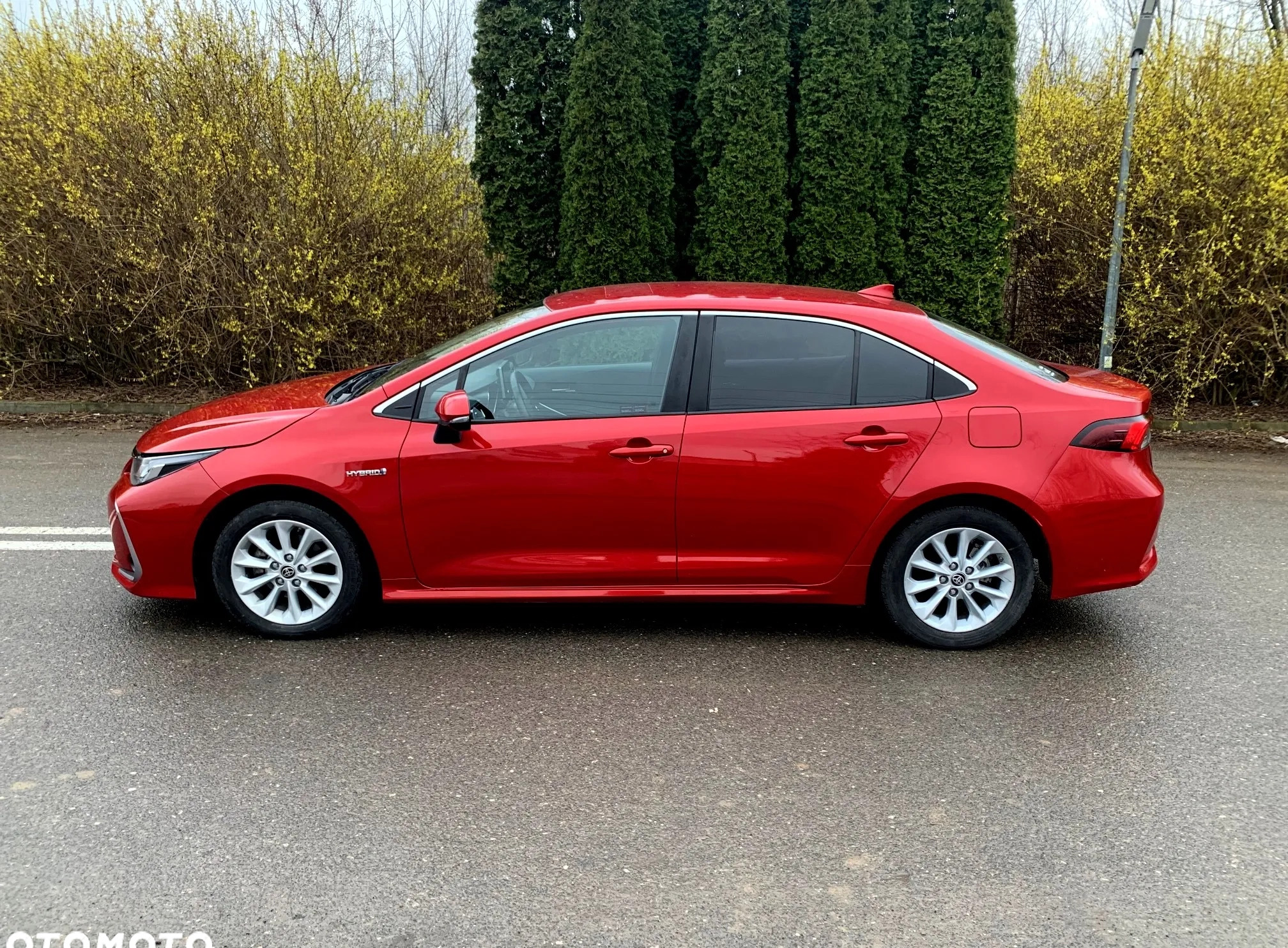 Toyota Corolla cena 79900 przebieg: 37000, rok produkcji 2020 z Radzyń Chełmiński małe 137